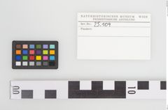Etiketten zu Eisenschwertklinge (NHMW-PRAE-025109)